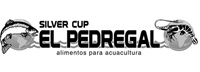 El Pedregal