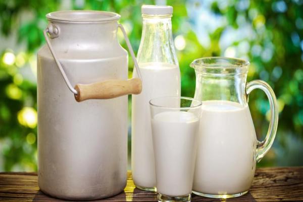 Test para determinar Antibióticos en Leche 