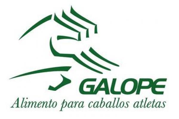 Galope Alto Rendimiento 