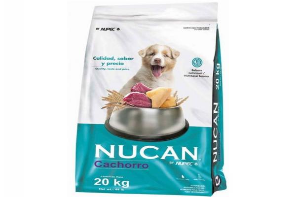 Nucan Cachorro