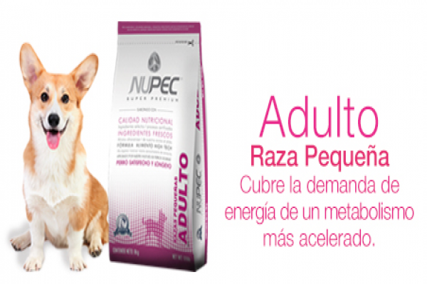 Nupec Raza Pequeña Adulto 