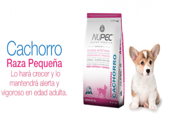 Nupec Raza Pequeña Cachorro 